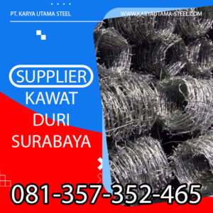 Read more about the article Pengaman Properti Andal – Kawat Duri Tajam Surabaya