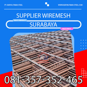 Read more about the article Kapan Wiremesh Dibutuhkan Pada Konstruksi Beton?