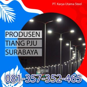 Read more about the article Manfaat Tiang Lampu PJU dan Lokasi Pemasangannya