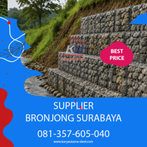 Read more about the article Bronjong Sebagai Dinding Penahan Stabilisasi Lereng dan Penataan Landskap